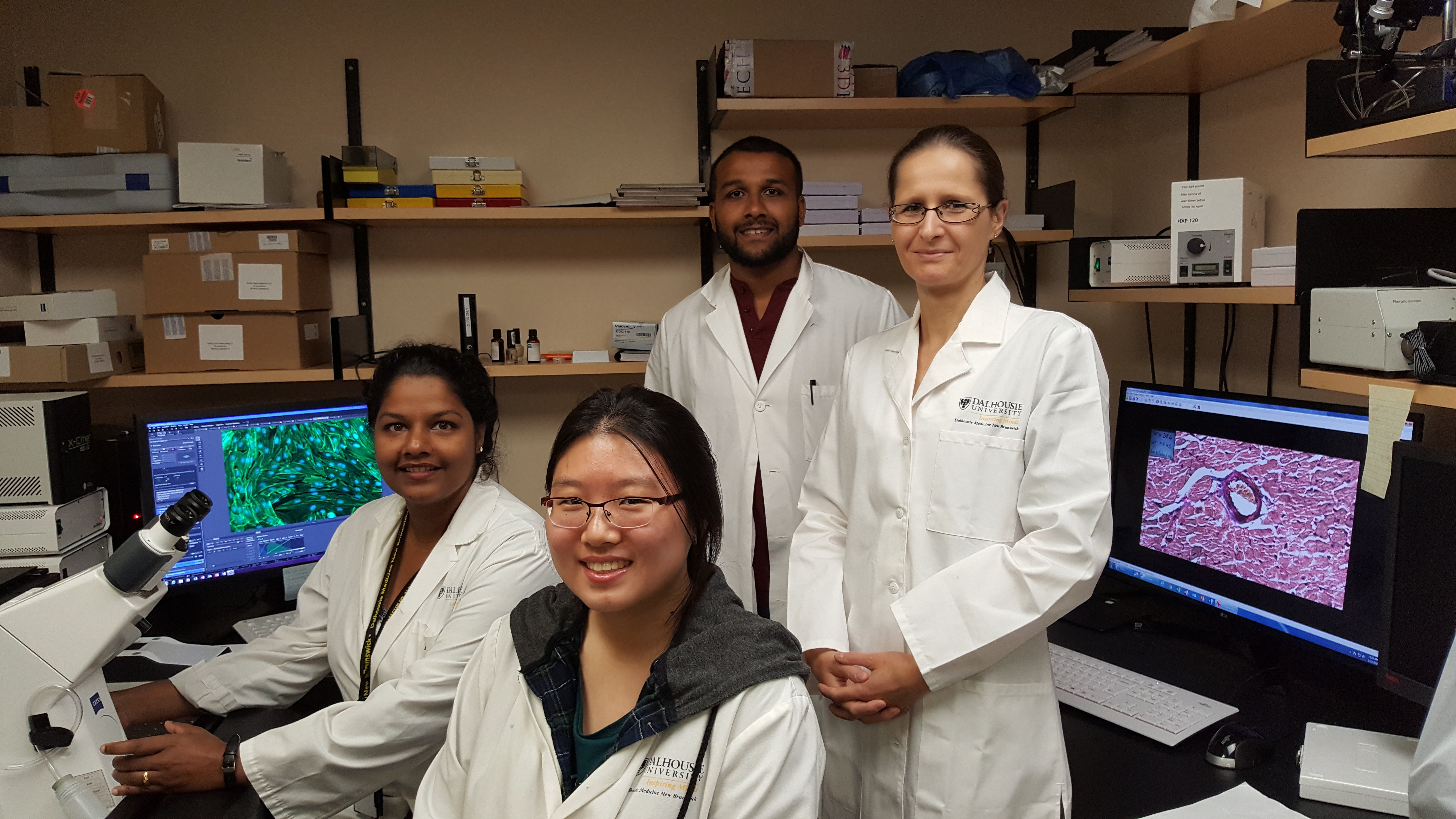 Dal Med NB researchers getting to the heart of heart disease